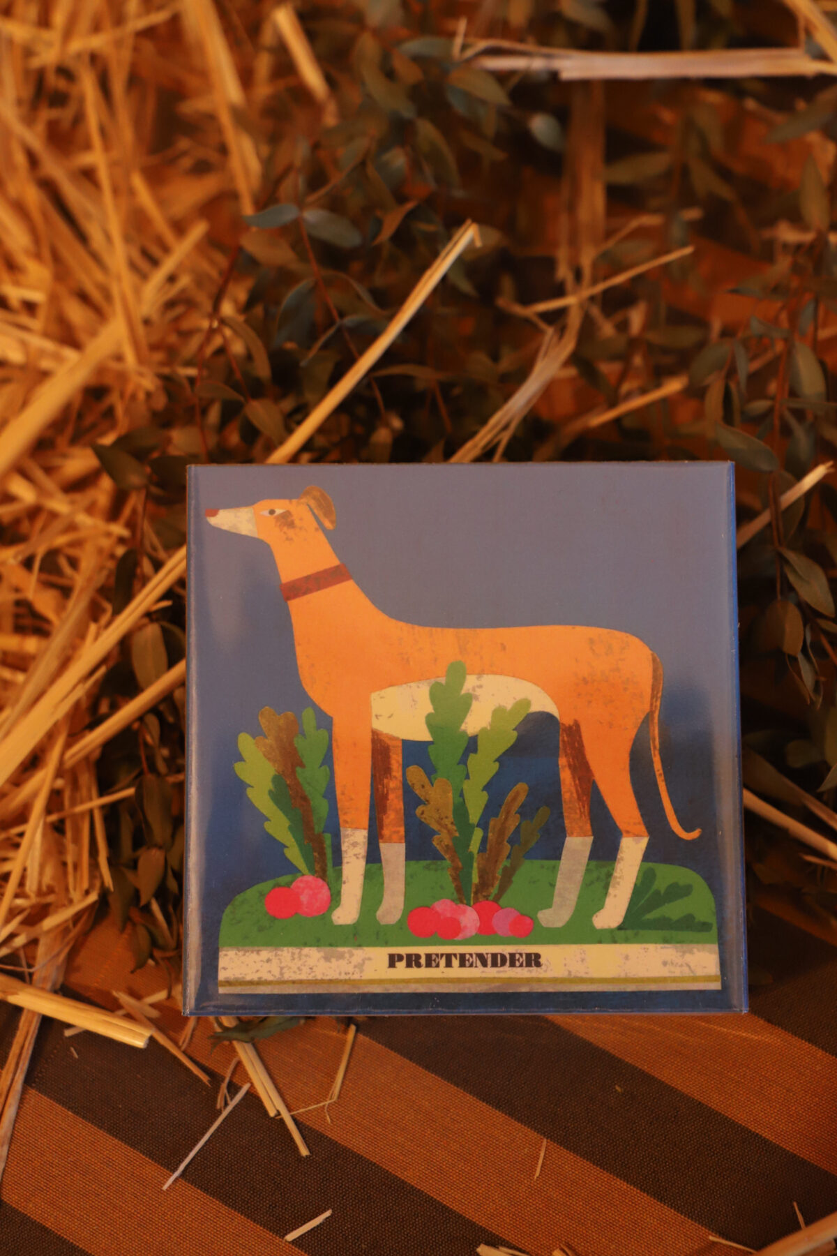 Caja cerillas the dog