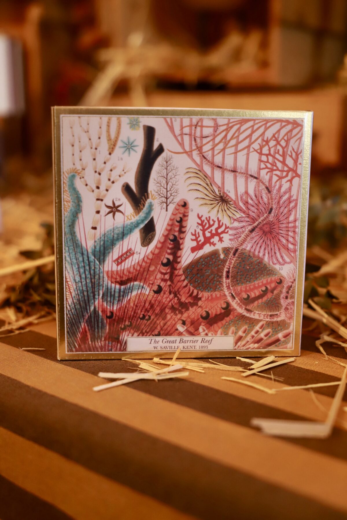 Caja cerillas summer